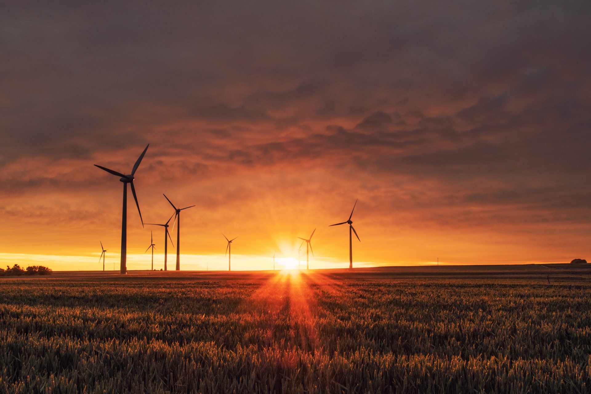 Sonne und Wind: das grüne Erfolgsduo der Stromversorgung- Image