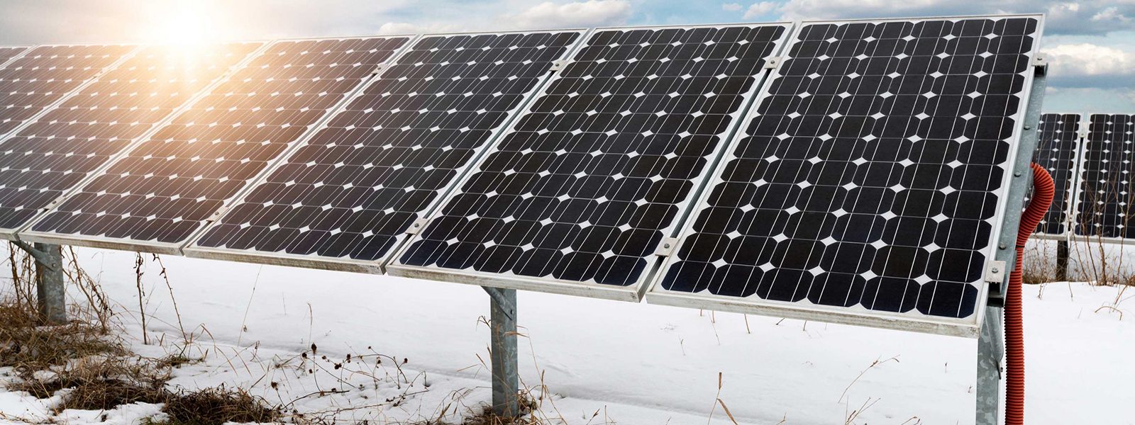 Vertikale Photovoltaik: Wenn Solarmodule in die Höhe wachsen- Image