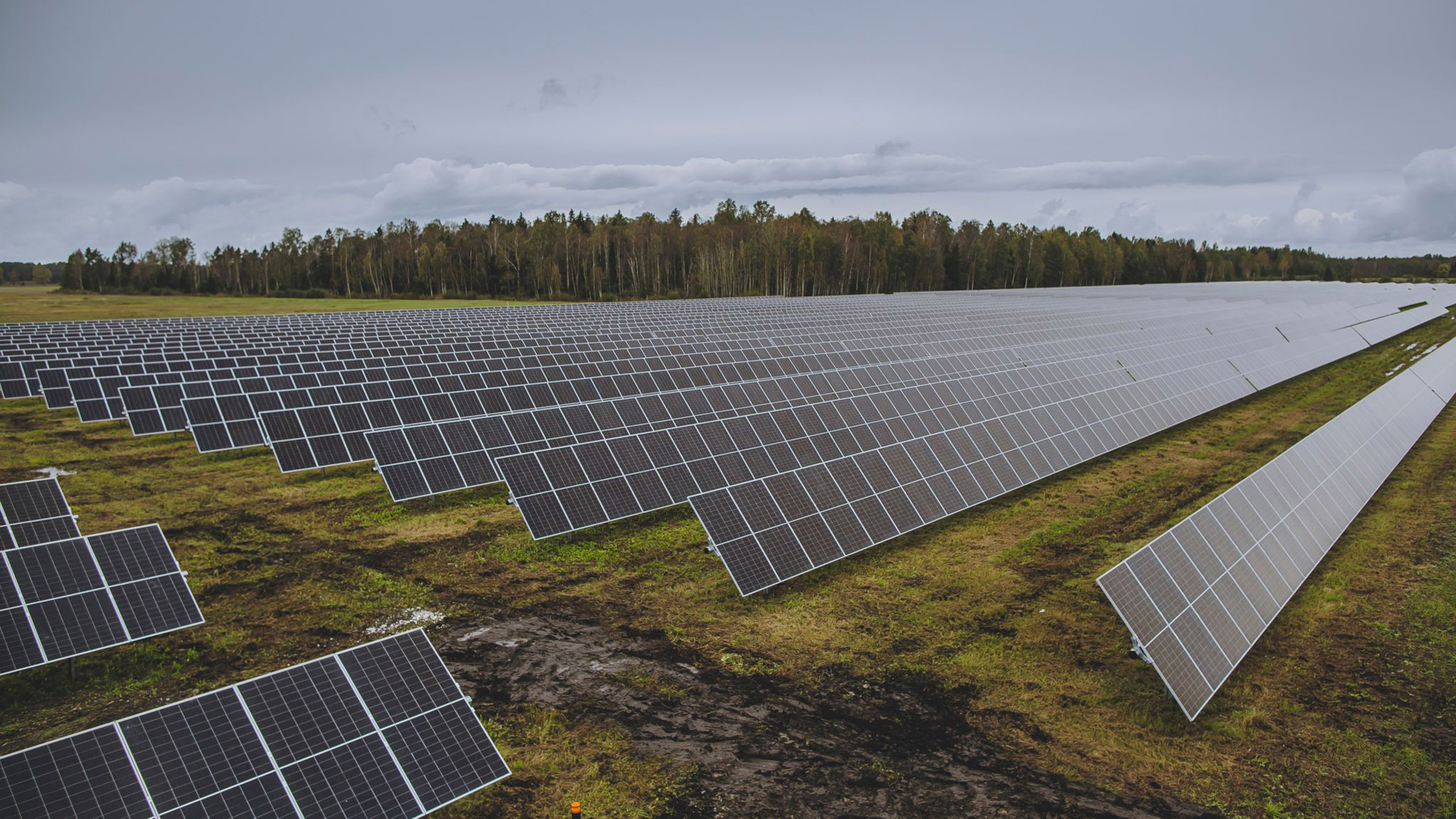 Baltische Energiewende: Enery eröffnet Solarparks in Estland- Image